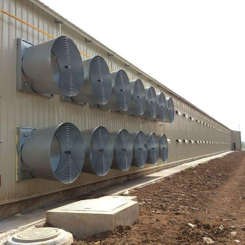 Poultry exhaust fan angled view