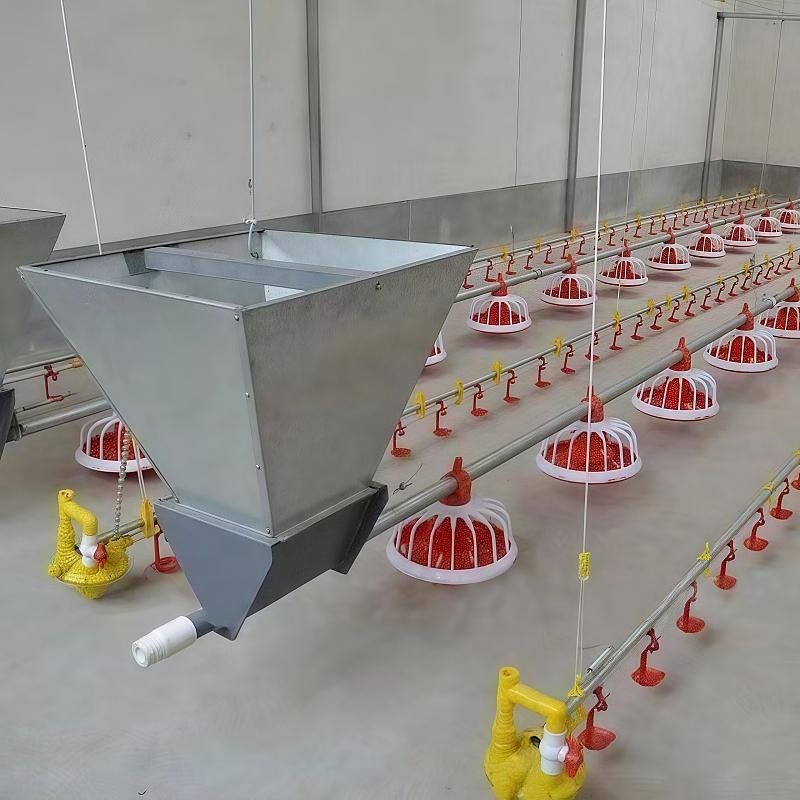 Poultry feed silo
